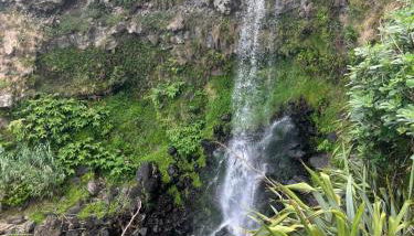 Esperança House 1 - Photo 5