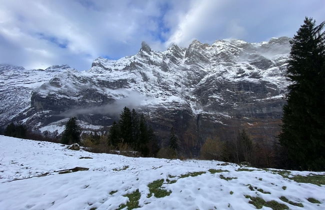 Spring Inn Apartments - Foto 57