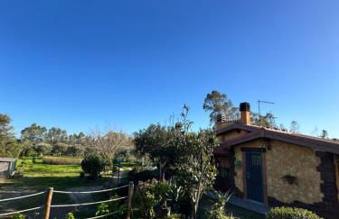 L'Uliveto HOLIDAY HOUSE - Photo 40