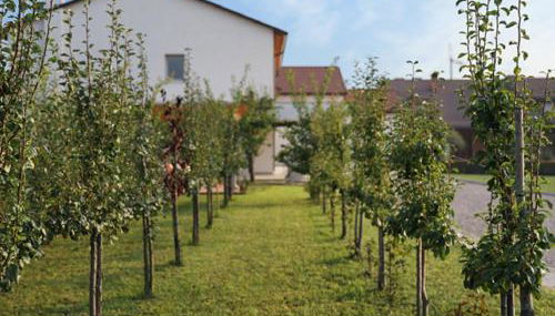 Agriturismo Corte Foscara - Foto 3, Garden