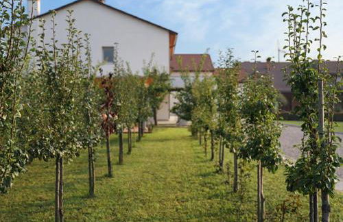 Agriturismo Corte Foscara - Photo 3