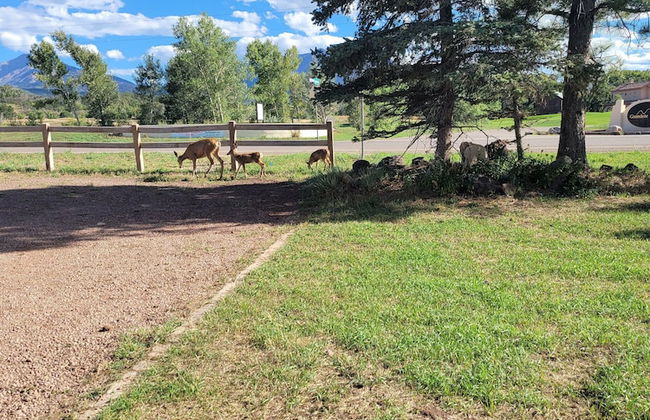 Grandote Lodge - Foto 23