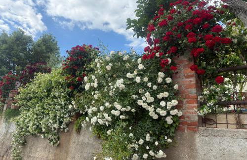 Athena Casa Vacanze - Foto 59