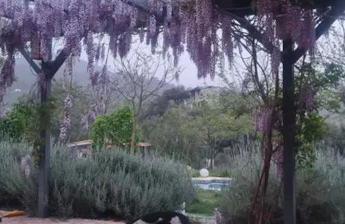 Finca La Boheme Monda - Foto 12