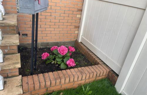 Peace get away - Foto 14