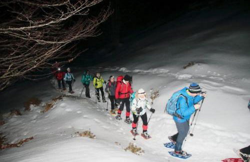 Un NIDO tra i monti - Foto 24