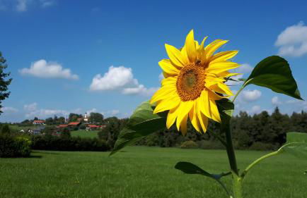 Schöne helle Ferienwohnung - Foto 38