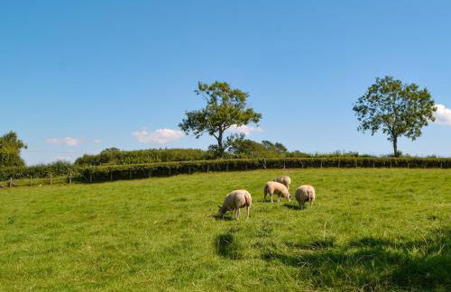 Fieldside Farmhouse - Foto 35