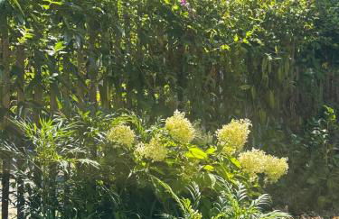 Le Moulin de Rochopt - Photo 52