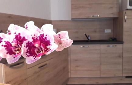 Appartment Charly - Foto 17