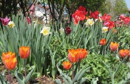 Haus an der Therme - Foto 14