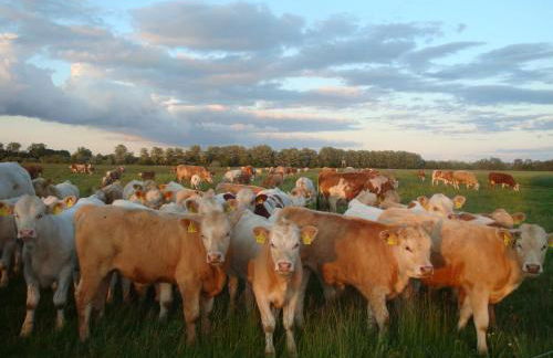 Haus Dornröschen - Foto 31