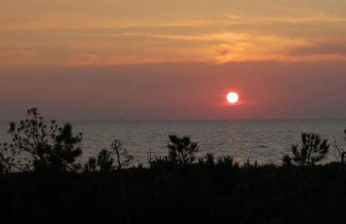 Dünenresidenz Regina Elena Ferienwohnung am Strand - Foto 24