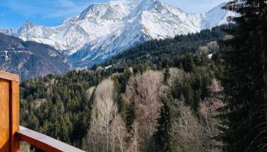 Appartement montagnard avec vue sur le Mont-Blanc - Foto 5