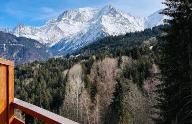Appartement montagnard avec vue sur le Mont-Blanc - Foto 5