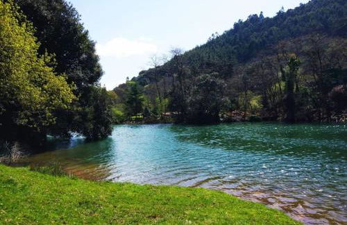 PequeñoCabárceno - Foto 70