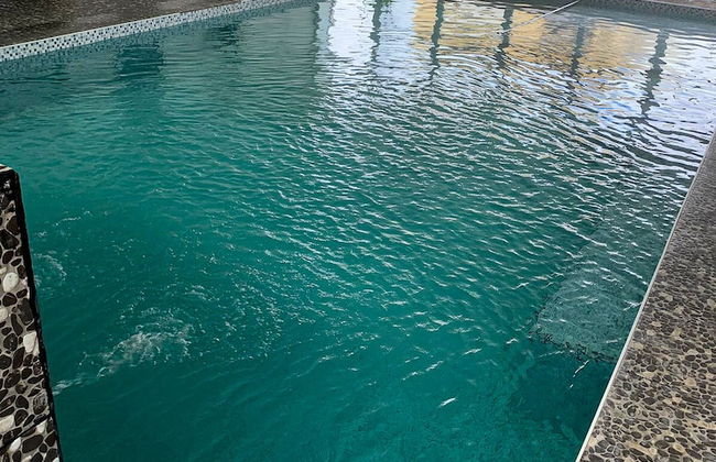 La Divina Pereza - Photo 56