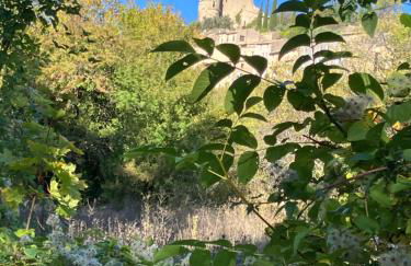 Chateau appartement tussen Mont Ventoux en Luberon - Foto 24