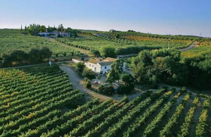 Bodega Boutique Finca Buytrón - Foto 1