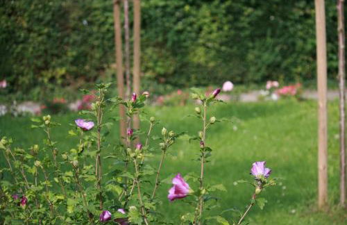Ferienwohnung am Kurpark - Photo 13