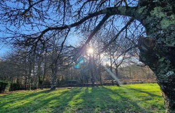 Habitaciones La Cuevona de Guitiriz,Parga, en el camino norte Lugo - Photo 83