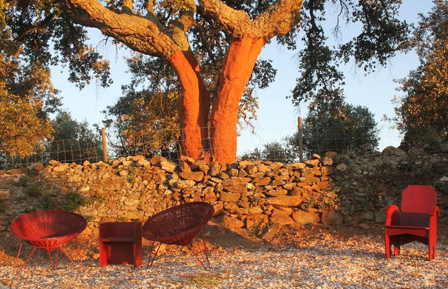 Quinta da Soneca Turismo Rural - Foto 29