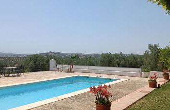 Finca Olivo Llorón - Foto 12