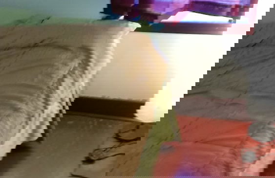 Just You in Neepawa Vacation Home - Photo 2