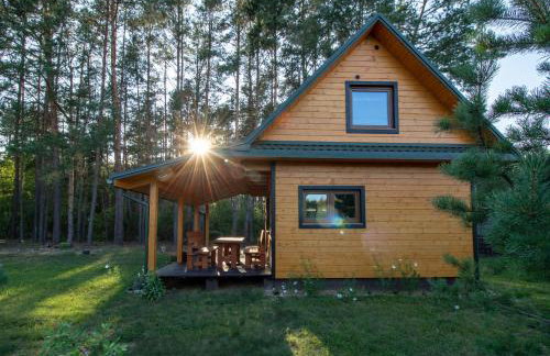 Leśna 21 Dom Południe przy PUSZCZA BIAŁOWIESKA - Foto 22