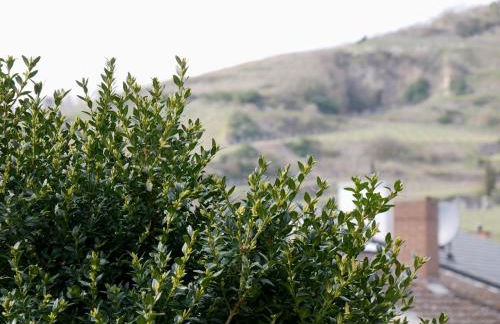 Ferienhaus Dorfleben - Foto 9