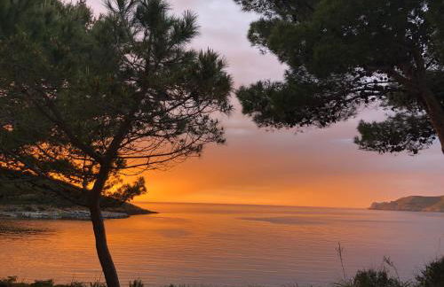 Résidence Casa Toga - Foto 60