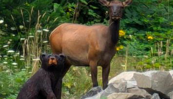 Bird House - Photo 4