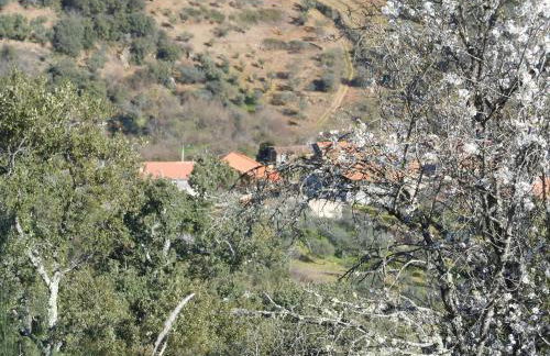 Casa do Souto - Foto 24