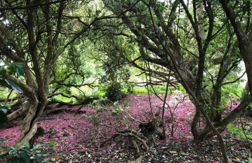 The Patio Flat - Foto 34