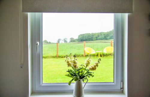 The Orchards - Foto 9