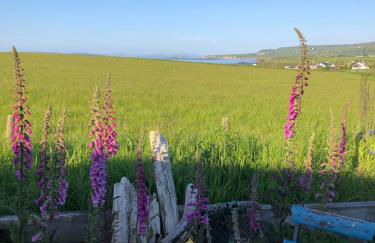 Little Nook, Dunseverick - Foto 15