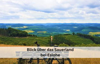 Ferienhaus Pape - 300m2, 17 Betten - mit großem privatem Garten, Pool, Dart, Sauna-, Grill- und Spielbereich - Ideal für Familien - Foto 50