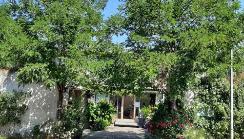 Glashus-Moos Loft 2 - Foto 2