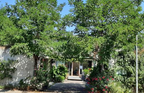 Glashus-Moos Loft 2 - Foto 2