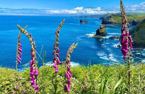 Karrek View - Trebarwith Strand (Sleeps 8-10) - Foto 7