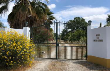 Monte das Hortas Velhas - Foto 13