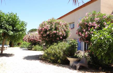 Résidence L'Orangeraie-2-Claira 66530 - Foto 17