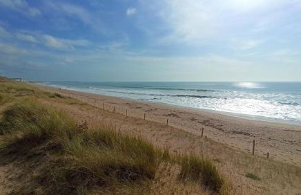 L'Emeraude, les pieds dans l'eau - Foto 20