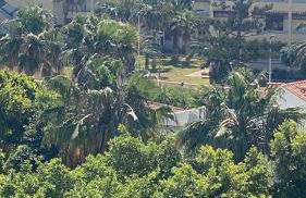 Apartamento en playa Serena - Foto 13