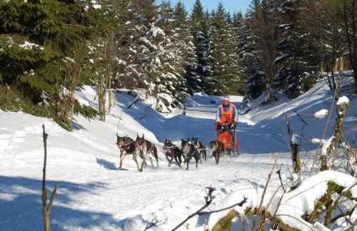 Holiday Home Thüringer Landhaus by Interhome - Foto 30