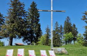 Two Apartaments Almberg - Mitterdorf-Mitterfirmiansreut - Foto 47