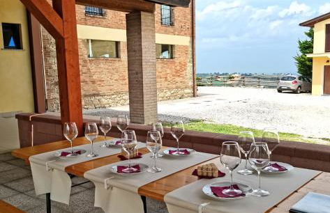 Cantina Visconti - Agriturismo - Photo 7