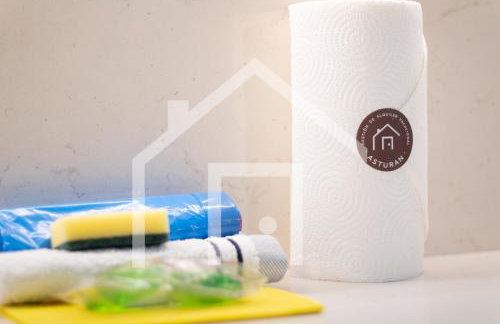 A Paicega - Oviedo Centro - Foto 28