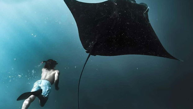 Observando las mantarrayas de los fondos marinos de Nusa Penida