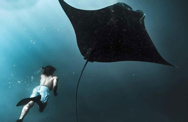 Snorkeling con le mante a Nusa Penida - Foto 1